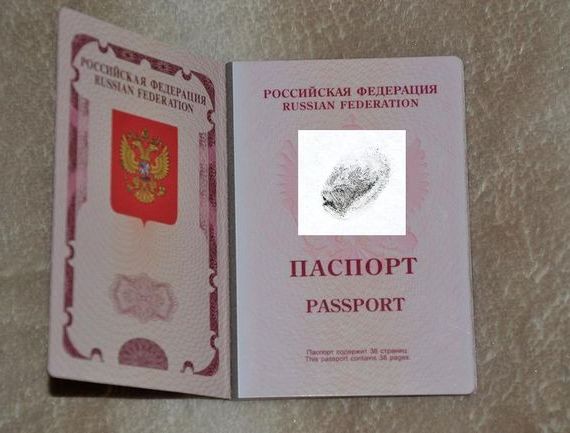 прописка в Вихоревке
